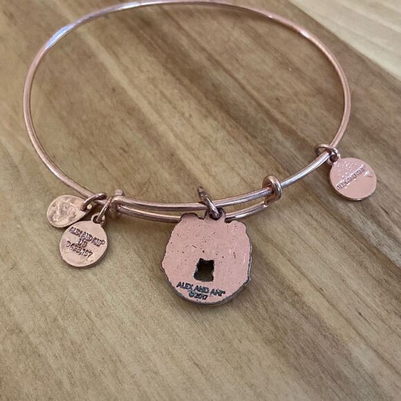 Alex and Ani Fortune's Favor Love & Luck Rafaelian Gold Charm Bangle Bracelet - Picture 4 of 4